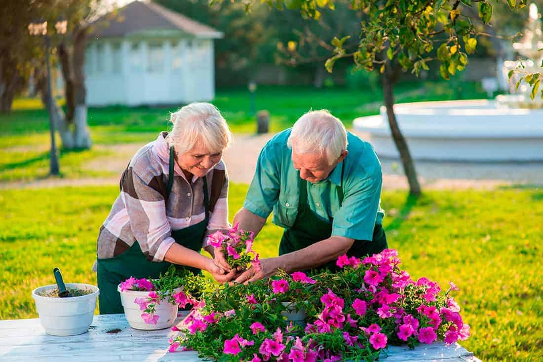 jardinage, santé, activité, senior, bienfaits, activité physique, personnes âgées, partage